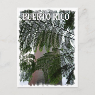 Puerto Rico Rain Forest Postkarte