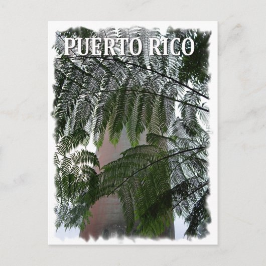 Puerto Rico Rain Forest Postkarte (Vorderseite)