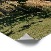 Puerto Rico, Ricon, El Faro Poster (Ecke)