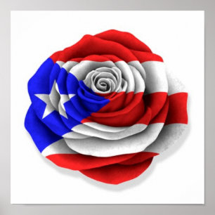 Puerto-Rico-Rose-Flag auf Weiß Poster