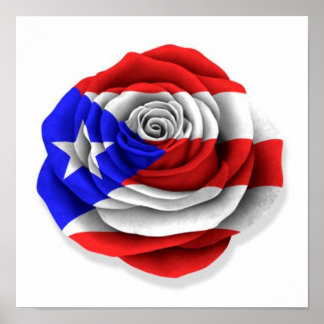 Puerto-Rico-Rose-Flag auf Weiß Poster