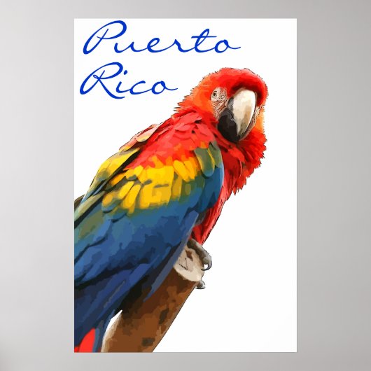 Puerto Rico Scarlet Macaw Poster (Vorne)