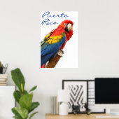 Puerto Rico Scarlet Macaw Poster (Heimbüro)
