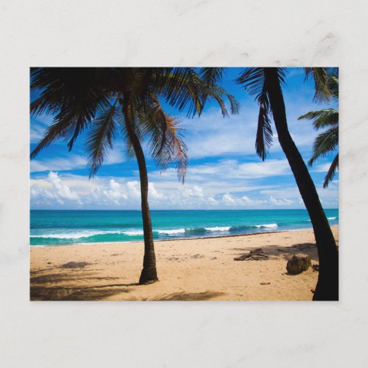 Puerto Rico - Strand von Condado Postkarte (Vorderseite)