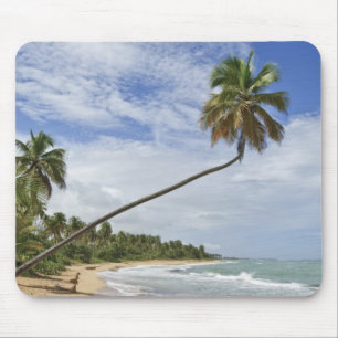 Puerto Rico. Tres Palmitas Beach Puerto Rico Mousepad