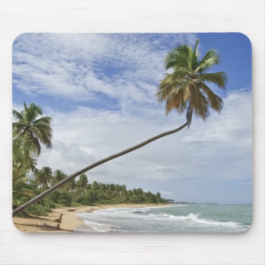 Puerto Rico. Tres Palmitas Beach Puerto Rico Mousepad (Vorne)