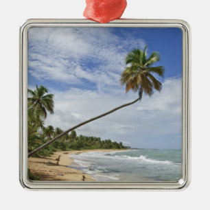 Puerto Rico. Tres Palmitas Strand Puerto Rico Ornament Aus Metall