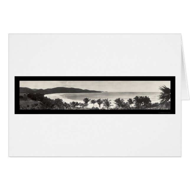 Puerto- Ricoflamingo-Foto 1914 (Vorderseite (Horizontal))