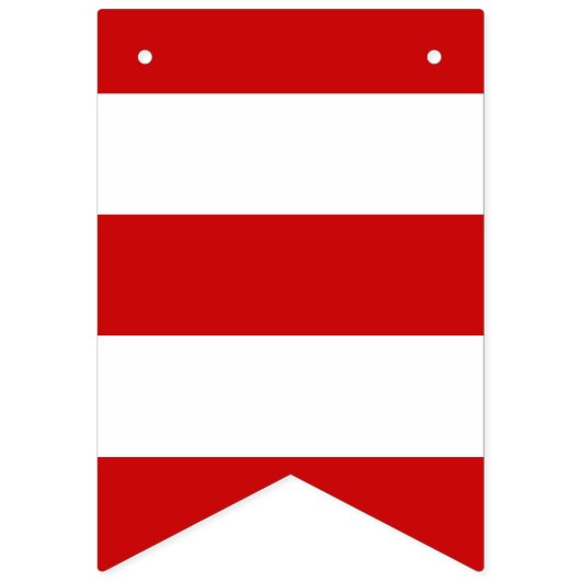 Puerto- RicoParty-Fahne Wimpelkette (Zweite Fahne)