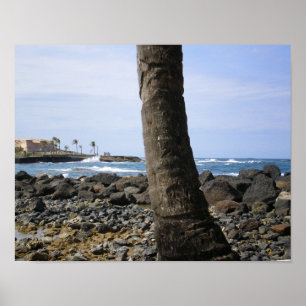 Puerto- Ricostrand durch RZB Poster