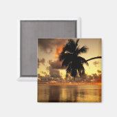 Puerto Vallarta Magnet (Vorderseite/Rückseite)