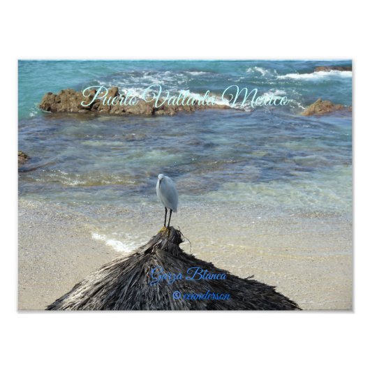 Puerto Vallarta Mexiko-Garza Blanca Fotodruck (Vorne)