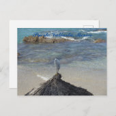 Puerto Vallarta, Mexiko. Garza Blanca Postkarte (Vorne/Hinten)