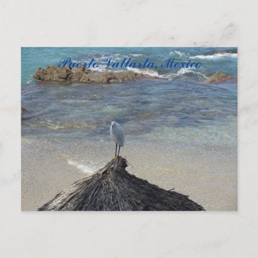 Puerto Vallarta, Mexiko. Garza Blanca Postkarte (Vorderseite)