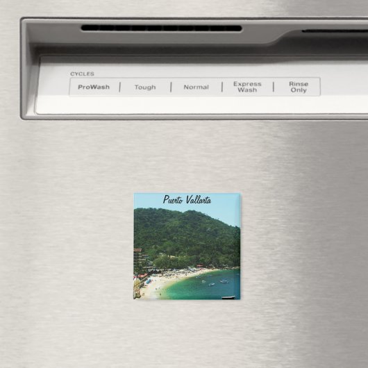 Puerto Vallarta, Mexiko Magnet (In Situ (Geschirrspüler))