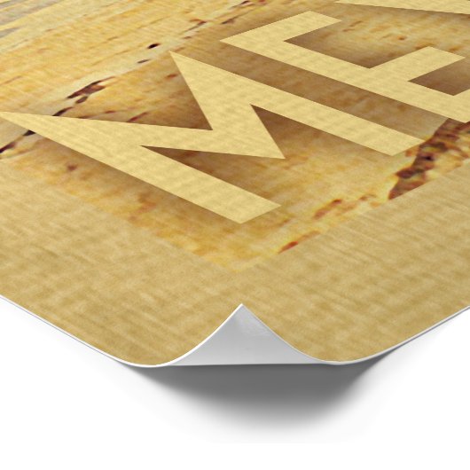 Puerto Vallarta Palm Treatment Obelisk Poster (Ecke)