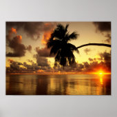 Puerto Vallarta Poster (Vorne)