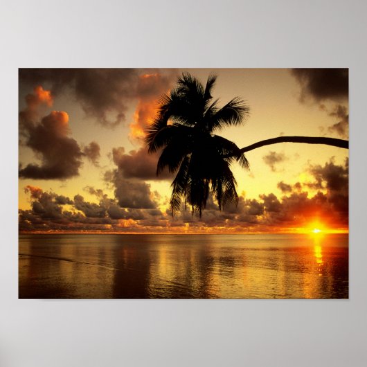 Puerto Vallarta Poster (Vorne)