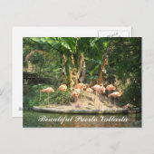 Puerto- Vallartapostkarte Postkarte (Vorne/Hinten)