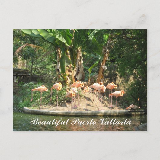 Puerto- Vallartapostkarte Postkarte (Vorderseite)