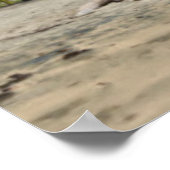 Puerto Viejo Beach Poster (Ecke)