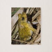 Puertorikanische Kröte mit Haube Puzzle (Vertikal)