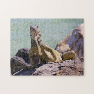 Puertorikanischer großer Leguan Puzzle