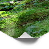 Puesta de Sol en el bosque Poster (Ecke)