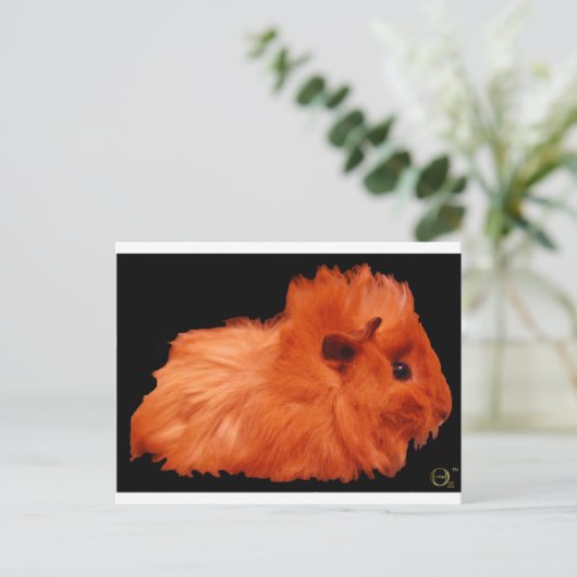 Puff Postkarte (Stehend Vorderseite)