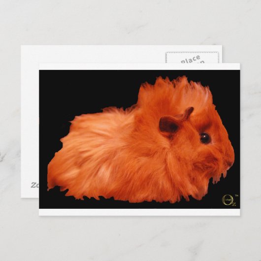 Puff Postkarte (Vorne/Hinten)