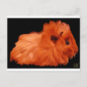 Puff Postkarte (Vorderseite)