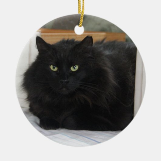 Puffball Keramikornament (Vorne)