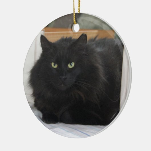 Puffball Keramikornament (Links)