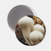 Puffball-Mushroom-Magnet Magnet (Vorderseite/Rückseite)