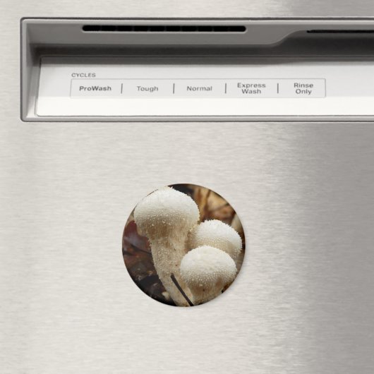 Puffball-Mushroom-Magnet Magnet (In Situ (Geschirrspüler))