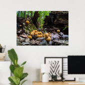 Puffball-Pilze, die auf Baumstumpf wachsen Poster (Heimbüro)