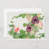 Puffbaum, Calico Blume von Tanigami Konan Postkarte (Vorne/Hinten)