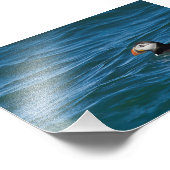 Puffen auf See Fotodruck (Ecke)