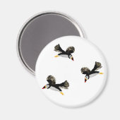 Puffen in der Vogelkunst Magnet (Vorderseite/Rückseite)