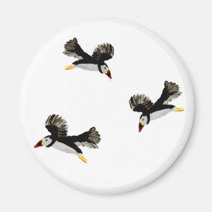 Puffen in der Vogelkunst Magnet