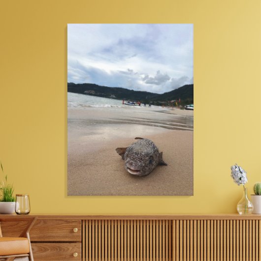 Puffer Fisch am Strand bei Phuket Fotografie Leinwanddruck (Insitu (Wohnzimmer))