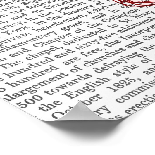 Puffer Fish Balloons Poster (Ecke)