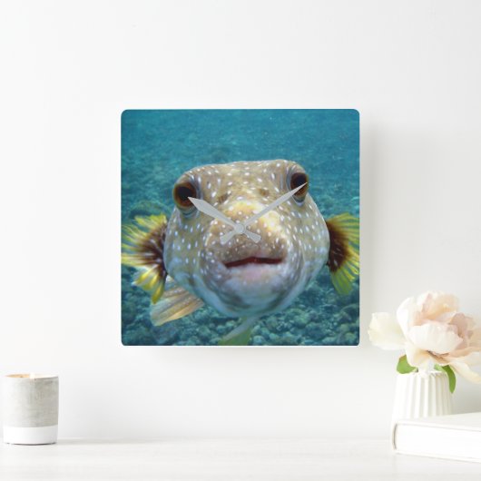 ***PUFFER FISH*** FUN CLOCK QUADRATISCHE WANDUHR (Zuhause)