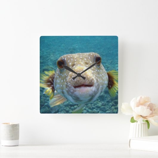 ***PUFFER FISH*** FUN CLOCK QUADRATISCHE WANDUHR (Zuhause)