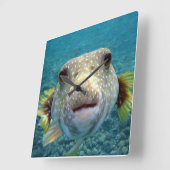 ***PUFFER FISH*** FUN CLOCK QUADRATISCHE WANDUHR (Winkel)