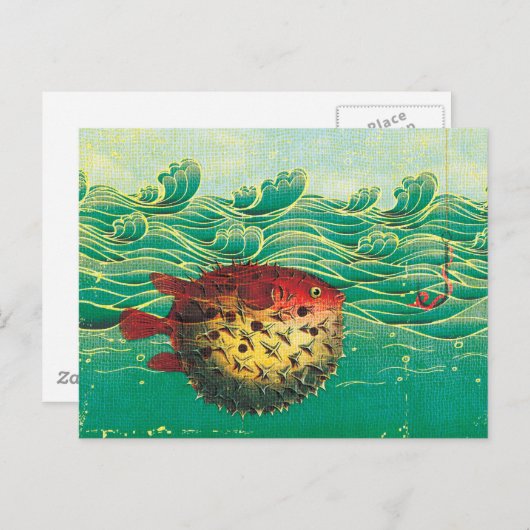 Puffer Fish Postkarte (Vorne/Hinten)