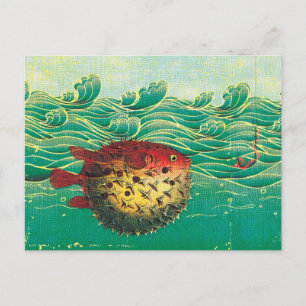 Puffer Fish Postkarte