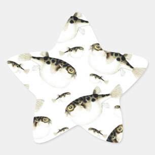 Puffer Fish White Muster Stern-Aufkleber