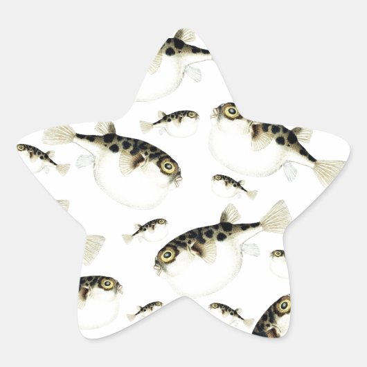 Puffer Fish White Muster Stern-Aufkleber (Vorderseite)