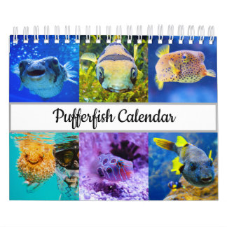 Puffer Kalender